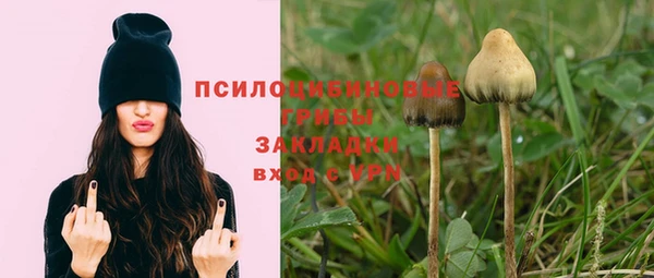 дмт Белоозёрский