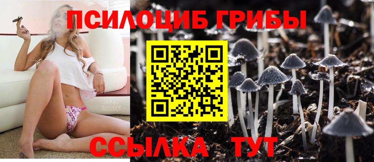 Горно-Алтайск  купить закладку  Вход с VPN  Галлюциногенные грибы Magic Shrooms 